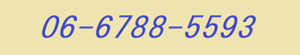 06-6788-5593